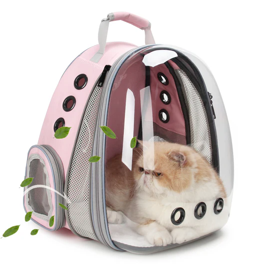 Cat sitting inside capsule bubble backpack with transparent window