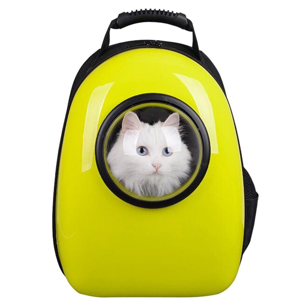 Cat sitting inside capsule bubble backpack with transparent window